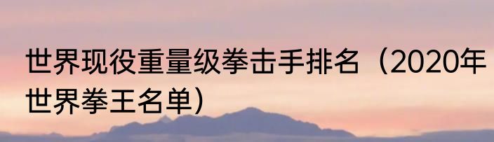 世界现役重量级拳击手排名（2020年世界拳王名单）