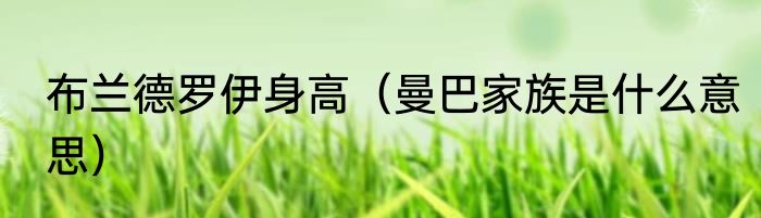 布兰德罗伊身高（曼巴家族是什么意思）