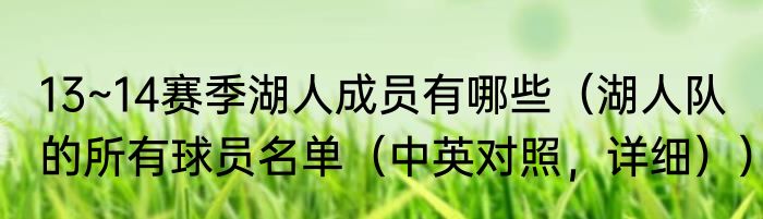 13~14赛季湖人成员有哪些（湖人队的所有球员名单（中英对照，详细））