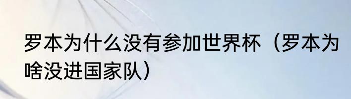 罗本为什么没有参加世界杯（罗本为啥没进国家队）