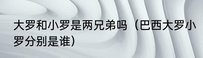 大罗和小罗是两兄弟吗（巴西大罗小罗分别是谁）