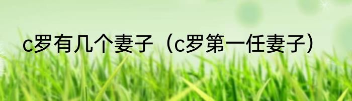 c罗有几个妻子（c罗第一任妻子）