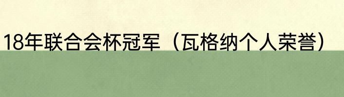18年联合会杯冠军（瓦格纳个人荣誉）