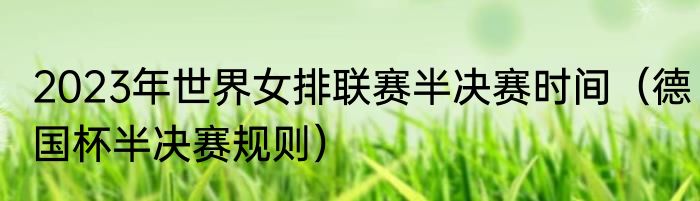 2023年世界女排联赛半决赛时间（德国杯半决赛规则）