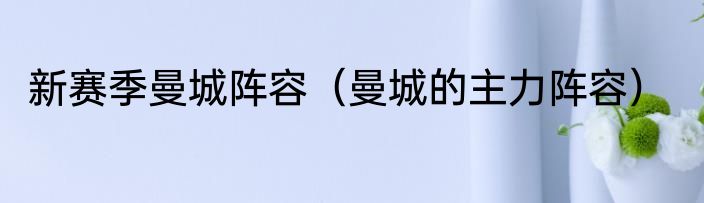 新赛季曼城阵容（曼城的主力阵容）