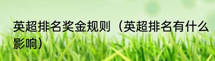 英超排名奖金规则（英超排名有什么影响）