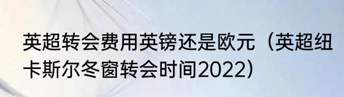英超转会费用英镑还是欧元（英超纽卡斯尔冬窗转会时间2022）