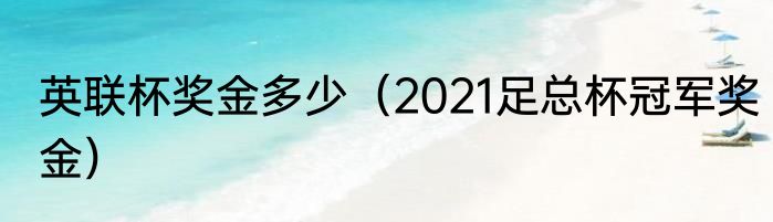 英联杯奖金多少（2021足总杯冠军奖金）