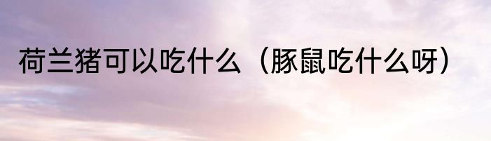 荷兰猪可以吃什么（豚鼠吃什么呀）