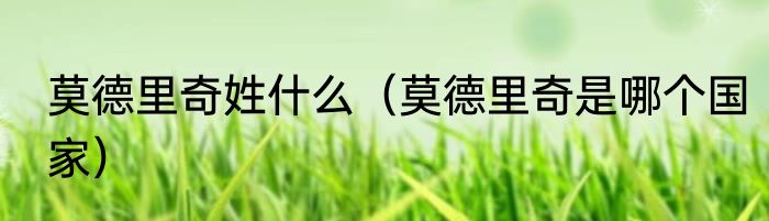 莫德里奇姓什么（莫德里奇是哪个国家）