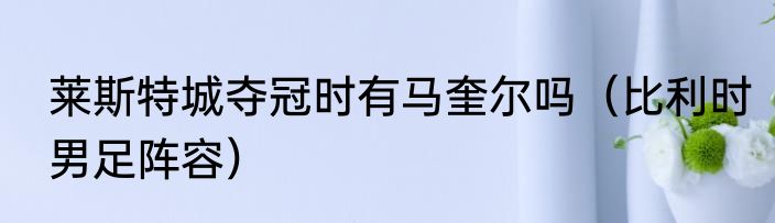 莱斯特城夺冠时有马奎尔吗（比利时男足阵容）