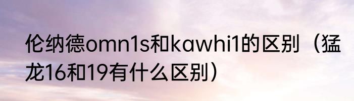 伦纳德omn1s和kawhi1的区别（猛龙16和19有什么区别）