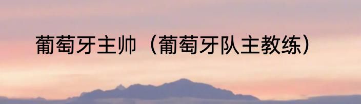 葡萄牙主帅（葡萄牙队主教练）