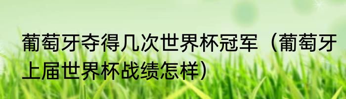 葡萄牙夺得几次世界杯冠军（葡萄牙上届世界杯战绩怎样）