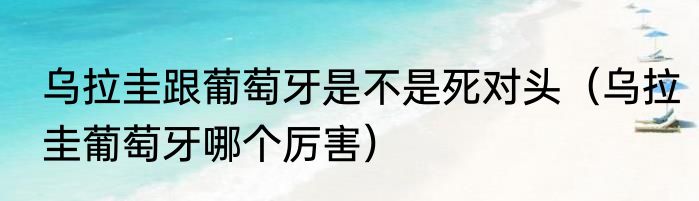 乌拉圭跟葡萄牙是不是死对头（乌拉圭葡萄牙哪个厉害）