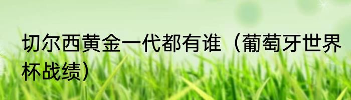 切尔西黄金一代都有谁（葡萄牙世界杯战绩）