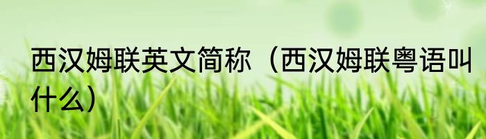 西汉姆联英文简称（西汉姆联粤语叫什么）