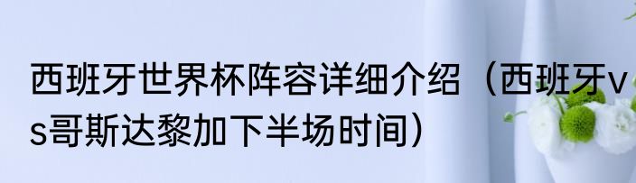西班牙世界杯阵容详细介绍（西班牙vs哥斯达黎加下半场时间）