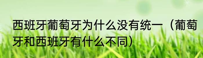 西班牙葡萄牙为什么没有统一（葡萄牙和西班牙有什么不同）