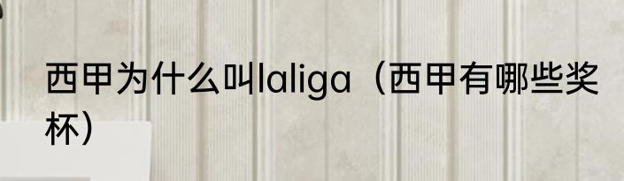 西甲为什么叫laliga（西甲有哪些奖杯）