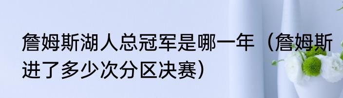詹姆斯湖人总冠军是哪一年（詹姆斯进了多少次分区决赛）