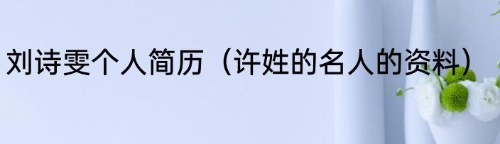 刘诗雯个人简历（许姓的名人的资料）