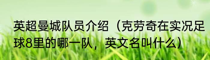 英超曼城队员介绍（克劳奇在实况足球8里的哪一队，英文名叫什么）