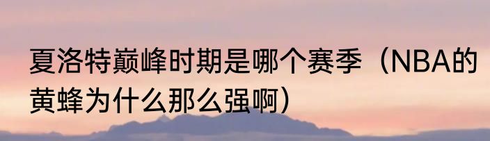 夏洛特巅峰时期是哪个赛季（NBA的黄蜂为什么那么强啊）