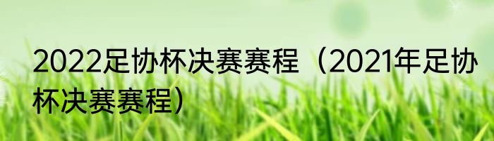 2022足协杯决赛赛程（2021年足协杯决赛赛程）