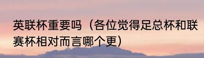 英联杯重要吗（各位觉得足总杯和联赛杯相对而言哪个更）