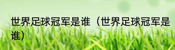 世界足球冠军是谁（世界足球冠军是谁）