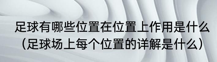 足球有哪些位置在位置上作用是什么（足球场上每个位置的详解是什么）