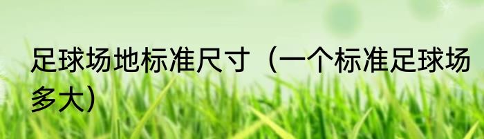 足球场地标准尺寸（一个标准足球场多大）