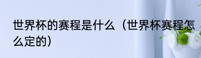 世界杯的赛程是什么（世界杯赛程怎么定的）