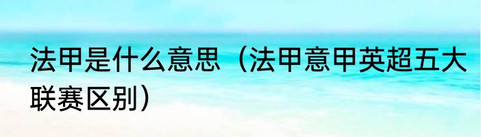 法甲是什么意思（法甲意甲英超五大联赛区别）