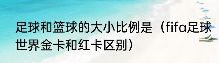 足球和篮球的大小比例是（fifa足球世界金卡和红卡区别）