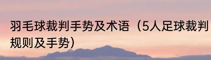 羽毛球裁判手势及术语（5人足球裁判规则及手势）