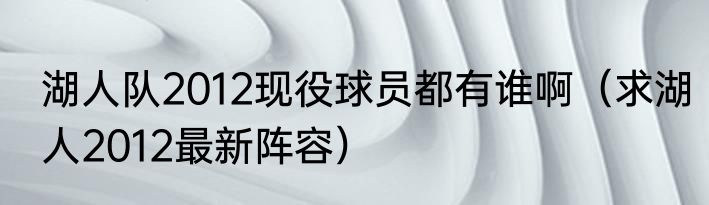 湖人队2012现役球员都有谁啊（求湖人2012最新阵容）