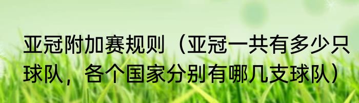 亚冠附加赛规则（亚冠一共有多少只球队，各个国家分别有哪几支球队）