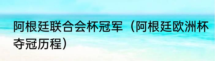 阿根廷联合会杯冠军（阿根廷欧洲杯夺冠历程）