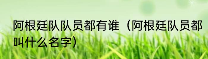 阿根廷队队员都有谁（阿根廷队员都叫什么名字）