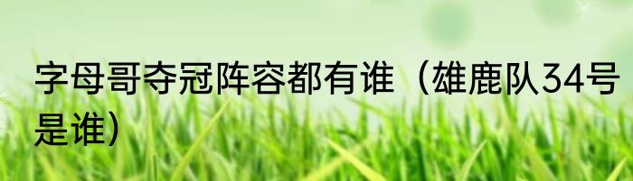 字母哥夺冠阵容都有谁（雄鹿队34号是谁）