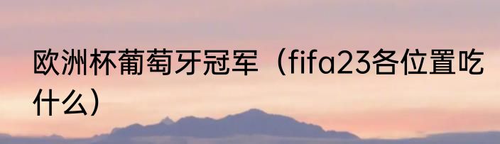 欧洲杯葡萄牙冠军（fifa23各位置吃什么）