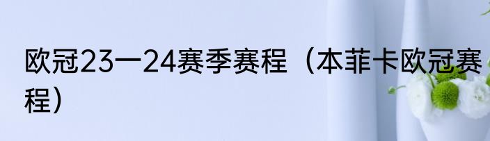 欧冠23一24赛季赛程（本菲卡欧冠赛程）