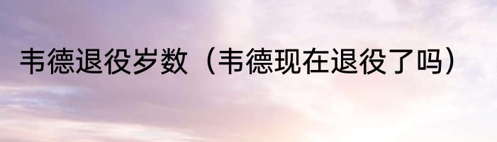 韦德退役岁数（韦德现在退役了吗）