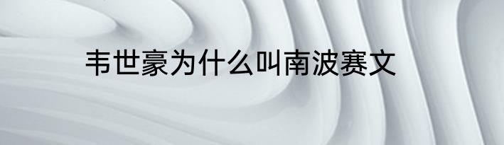 韦世豪为什么叫南波赛文