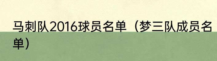 马刺队2016球员名单（梦三队成员名单）