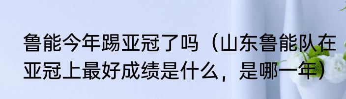 鲁能今年踢亚冠了吗（山东鲁能队在亚冠上最好成绩是什么，是哪一年）