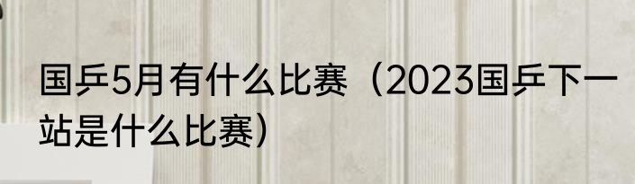 国乒5月有什么比赛（2023国乒下一站是什么比赛）