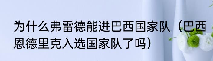 为什么弗雷德能进巴西国家队（巴西恩德里克入选国家队了吗）